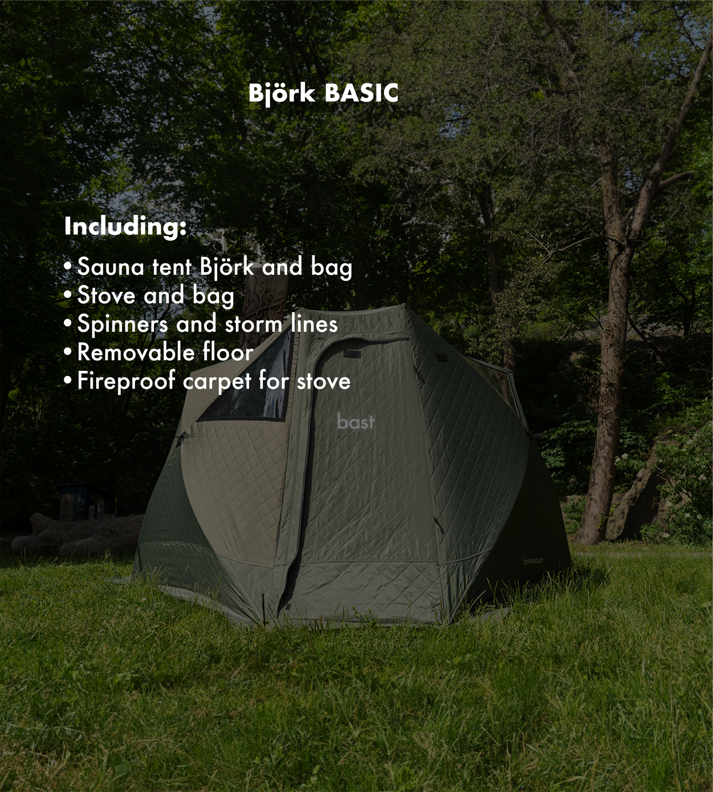 Björk Basic